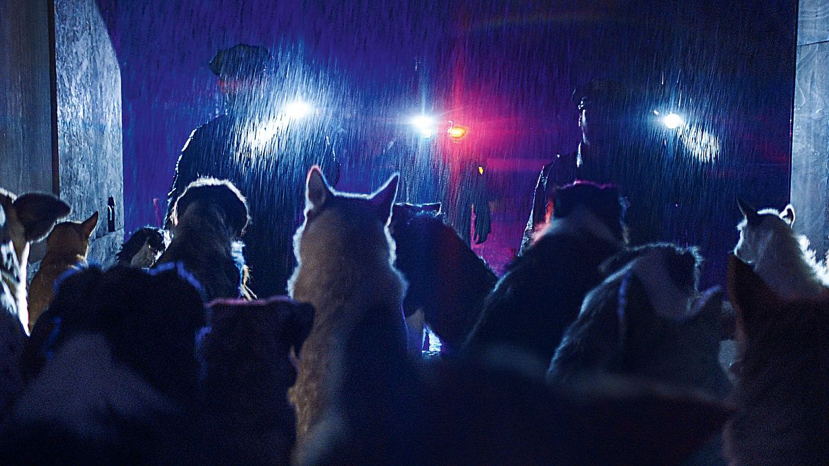 Dogman - Film-Still