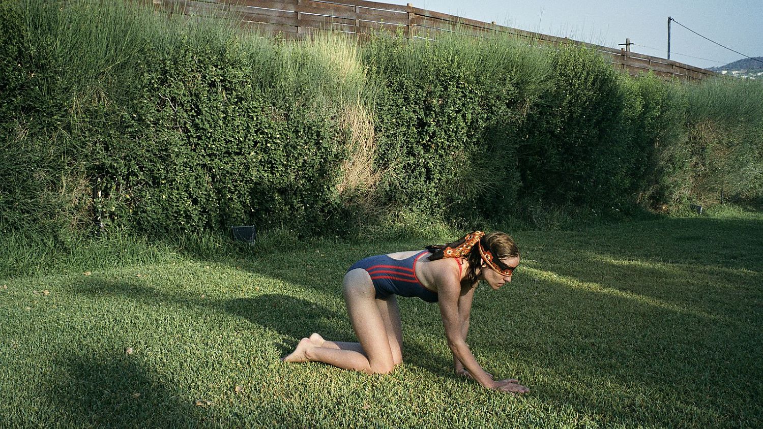 Bild zu Dogtooth