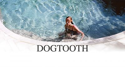 Cover zu Dogtooth