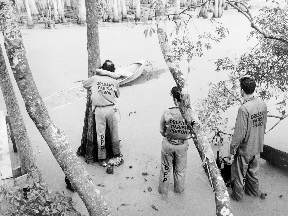 Down by Law - Film-Still