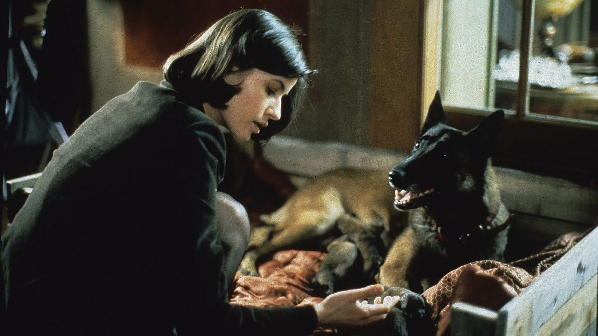 Drei Farben: Rot - Film-Still