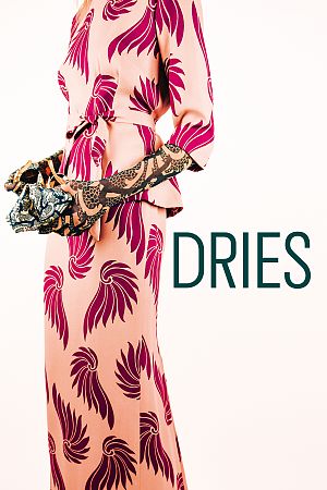 Cover zu Dries