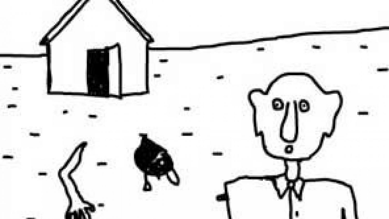 Bild zu DumbLand