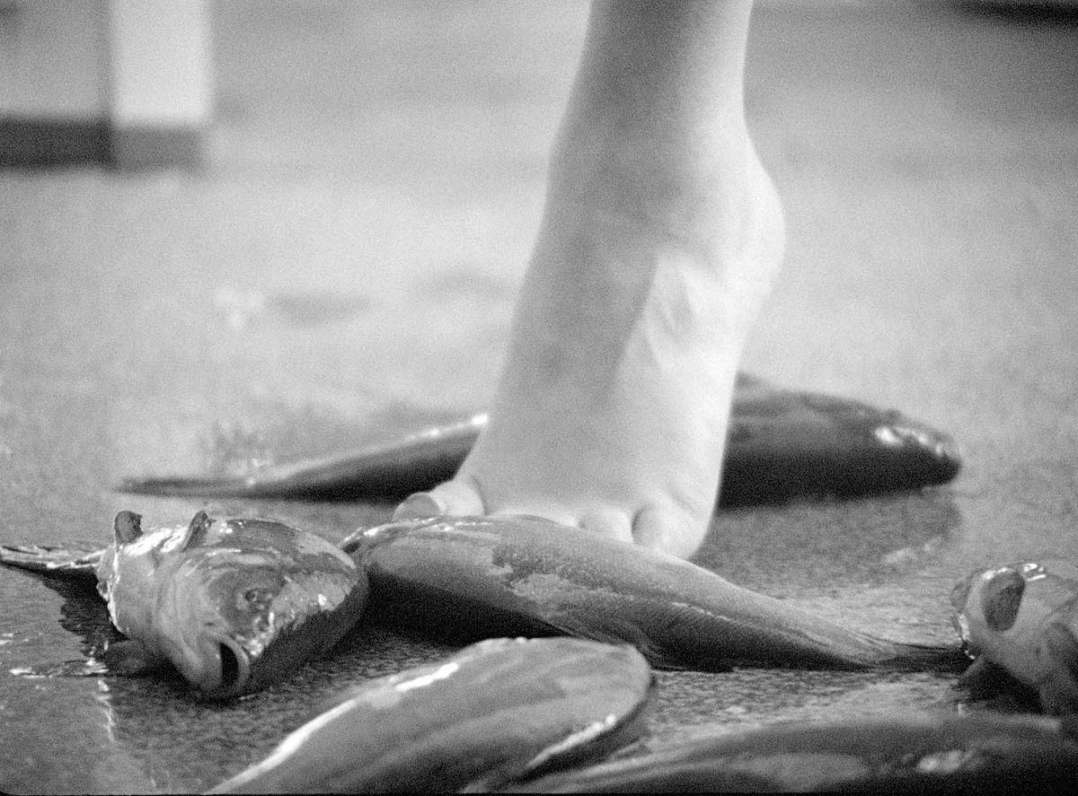 Edgar Reitz - Das Frühwerk - Film-Still