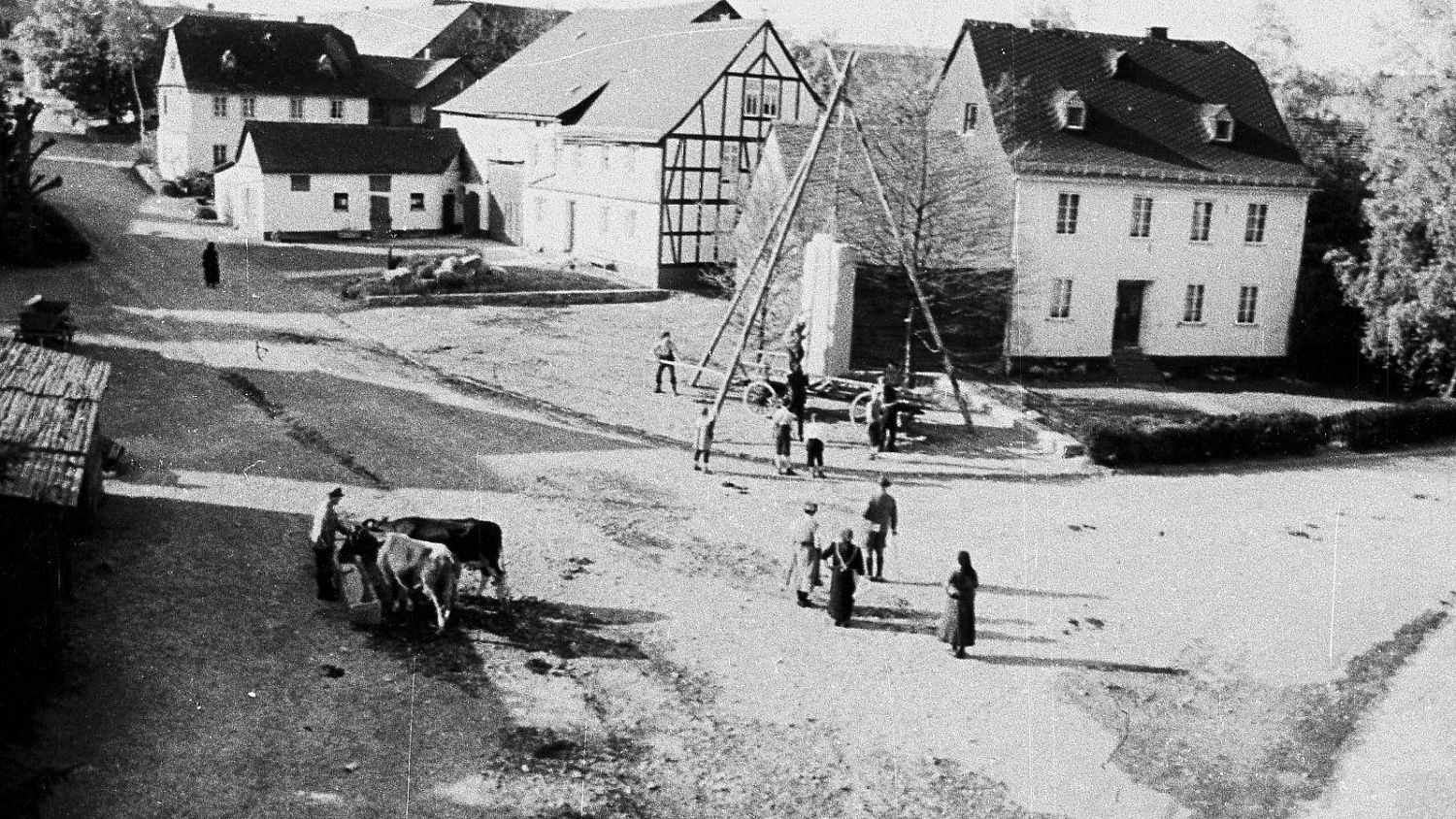 Bild zu Edgar Reitz - Heimat