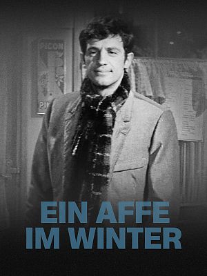 Cover zu Ein Affe im Winter
