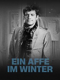 Cover Ein Affe im Winter