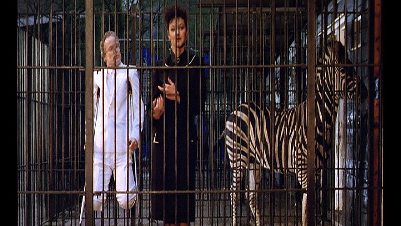 Ein Z und Zwei Nullen - Film-Still