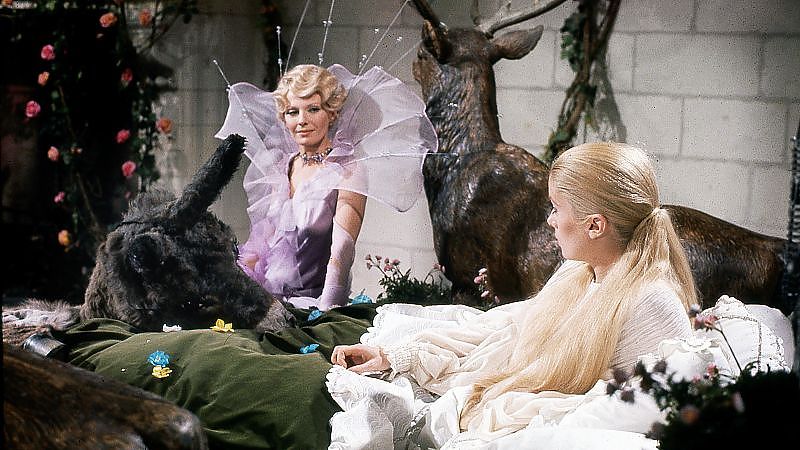 Eselshaut - Film-Still