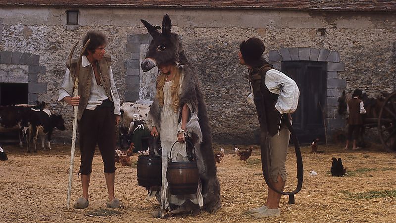 Eselshaut - Film-Still