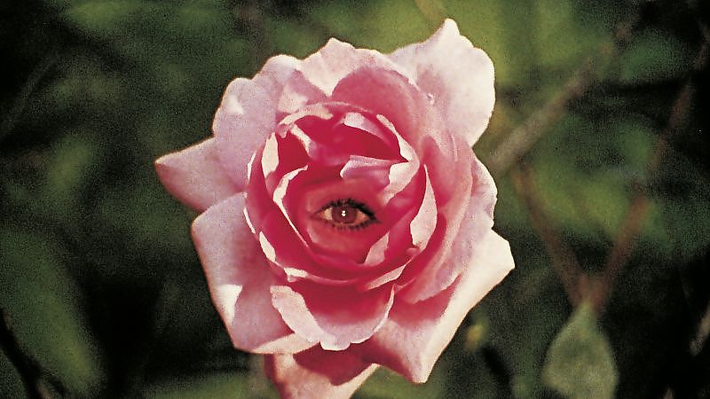 Eselshaut - Film-Still