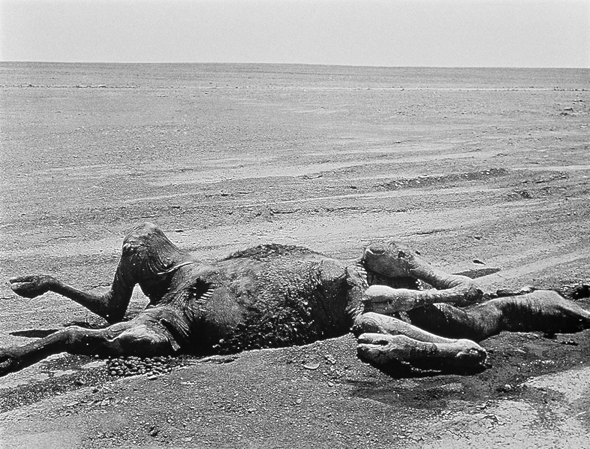 Fata Morgana - Film-Still