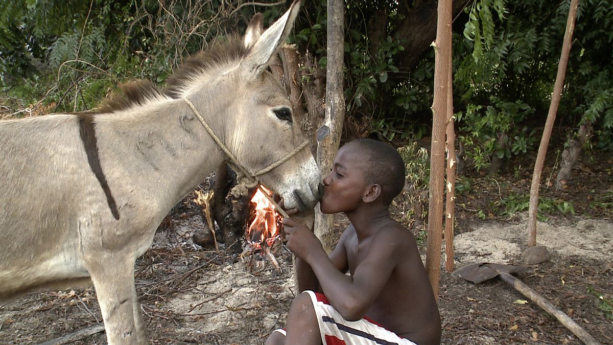 GEOlino Reportage Vol. 2 - Film-Still