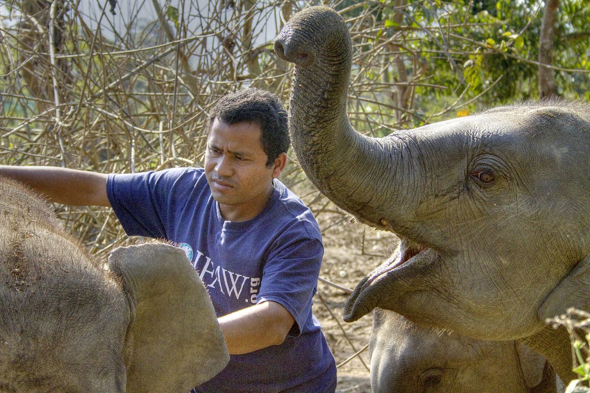 GEOlino Reportage Vol. 2 - Film-Still