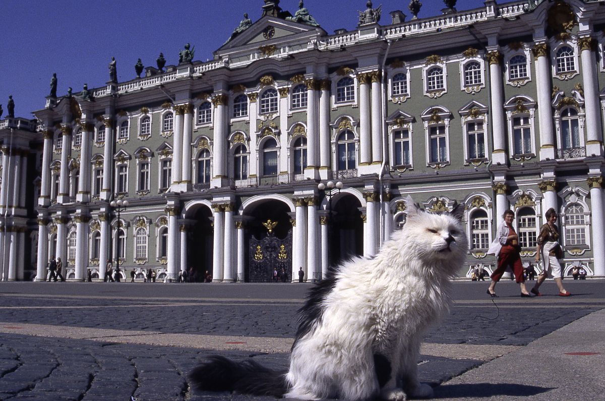 GEOlino Reportage Vol. 3 - Film-Still