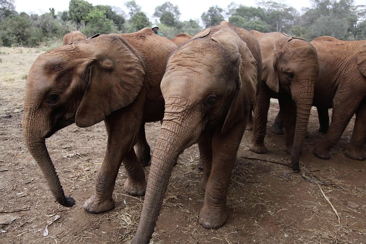 GEOlino Reportage Vol. 3 - Film-Still