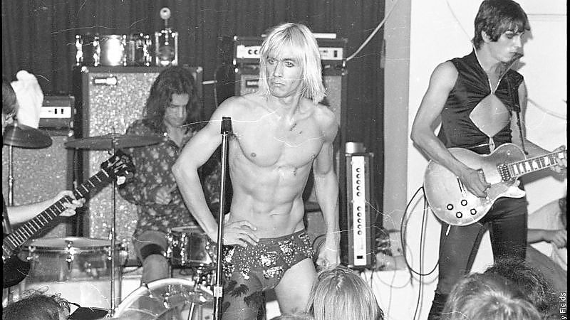 Bild zu Gimme Danger