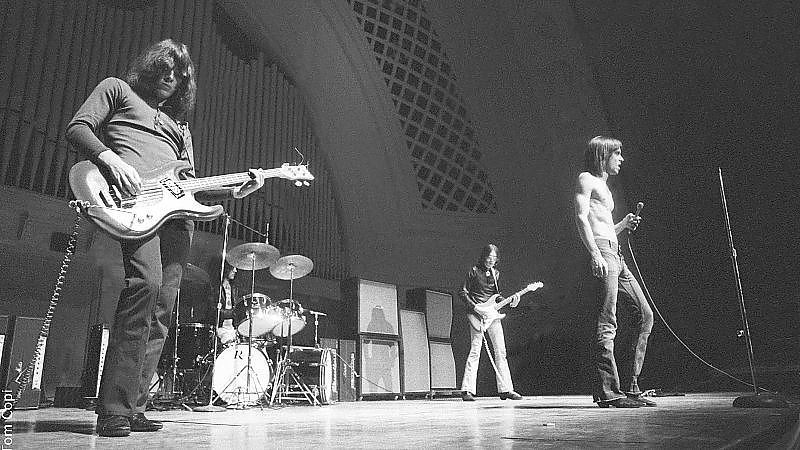 Gimme Danger - Film-Still