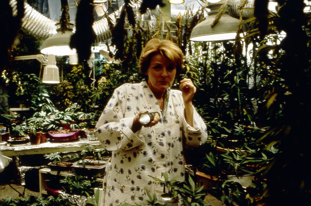 Grasgeflüster - Film-Still