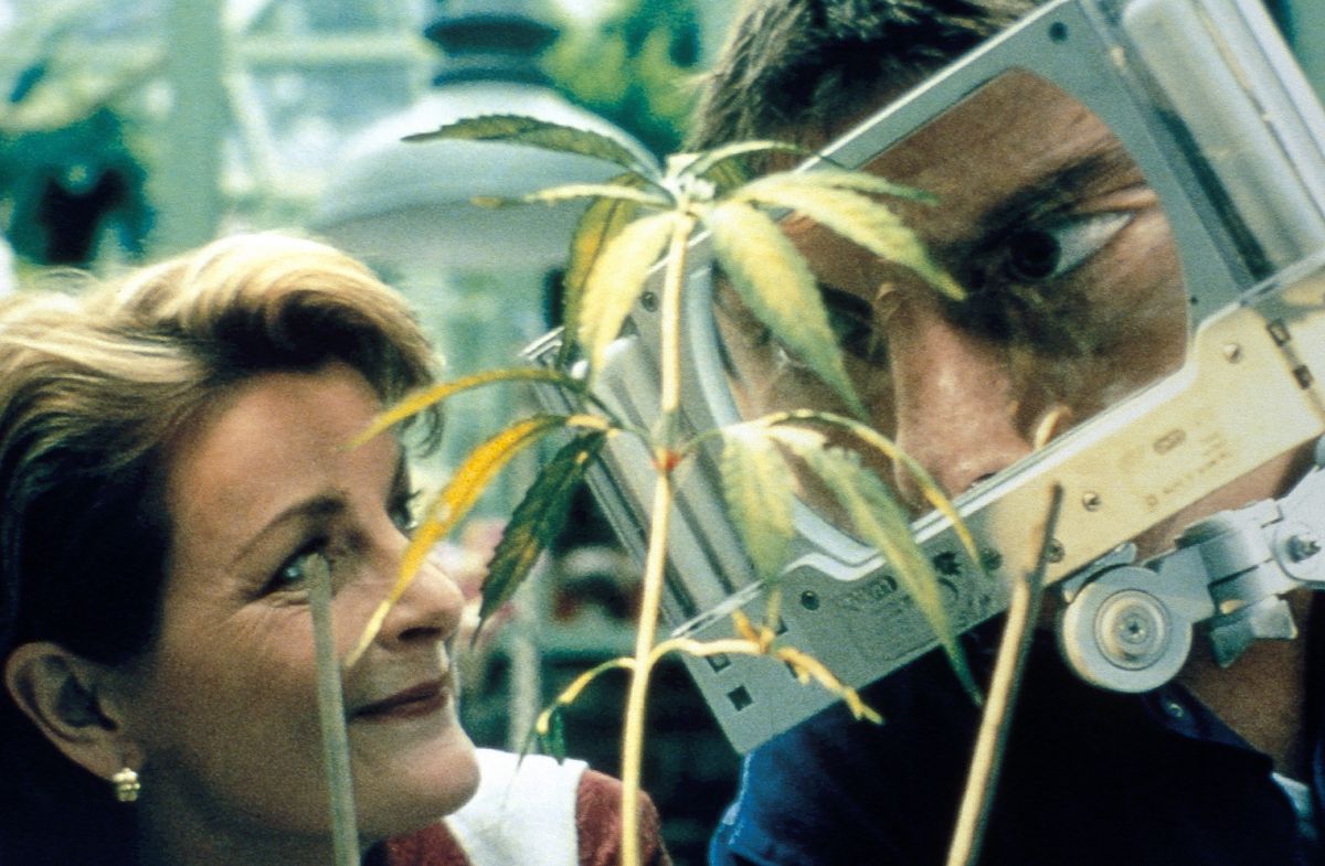 Grasgeflüster - Film-Still