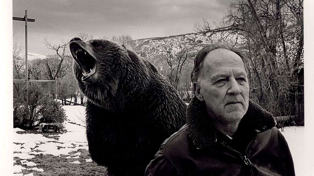 Grizzly Man - Film-Still