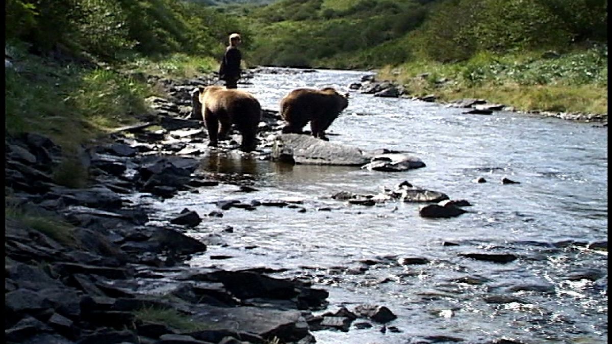 Grizzly Man - Film-Still