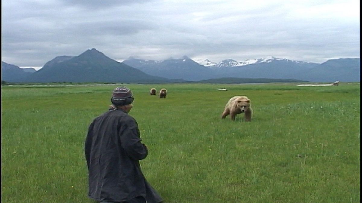 Grizzly Man - Film-Still