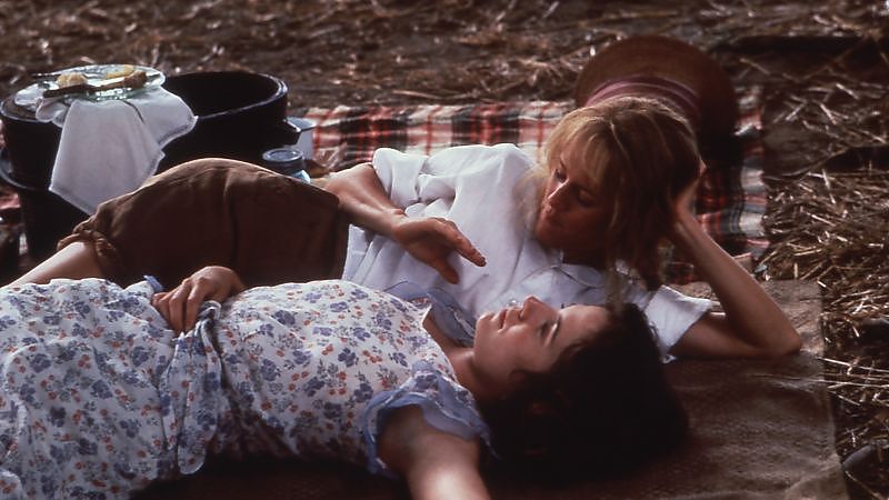 Bild zu Grüne Tomaten