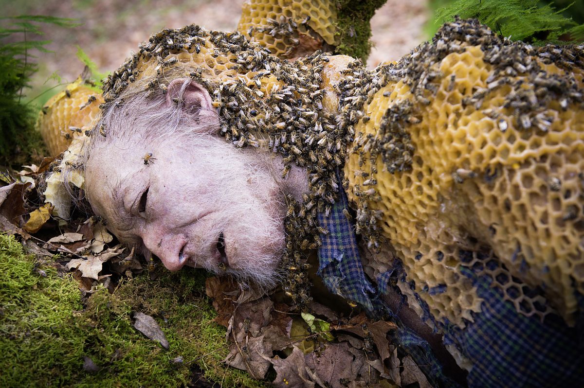 Hannibal / 2. Staffel - Film-Still