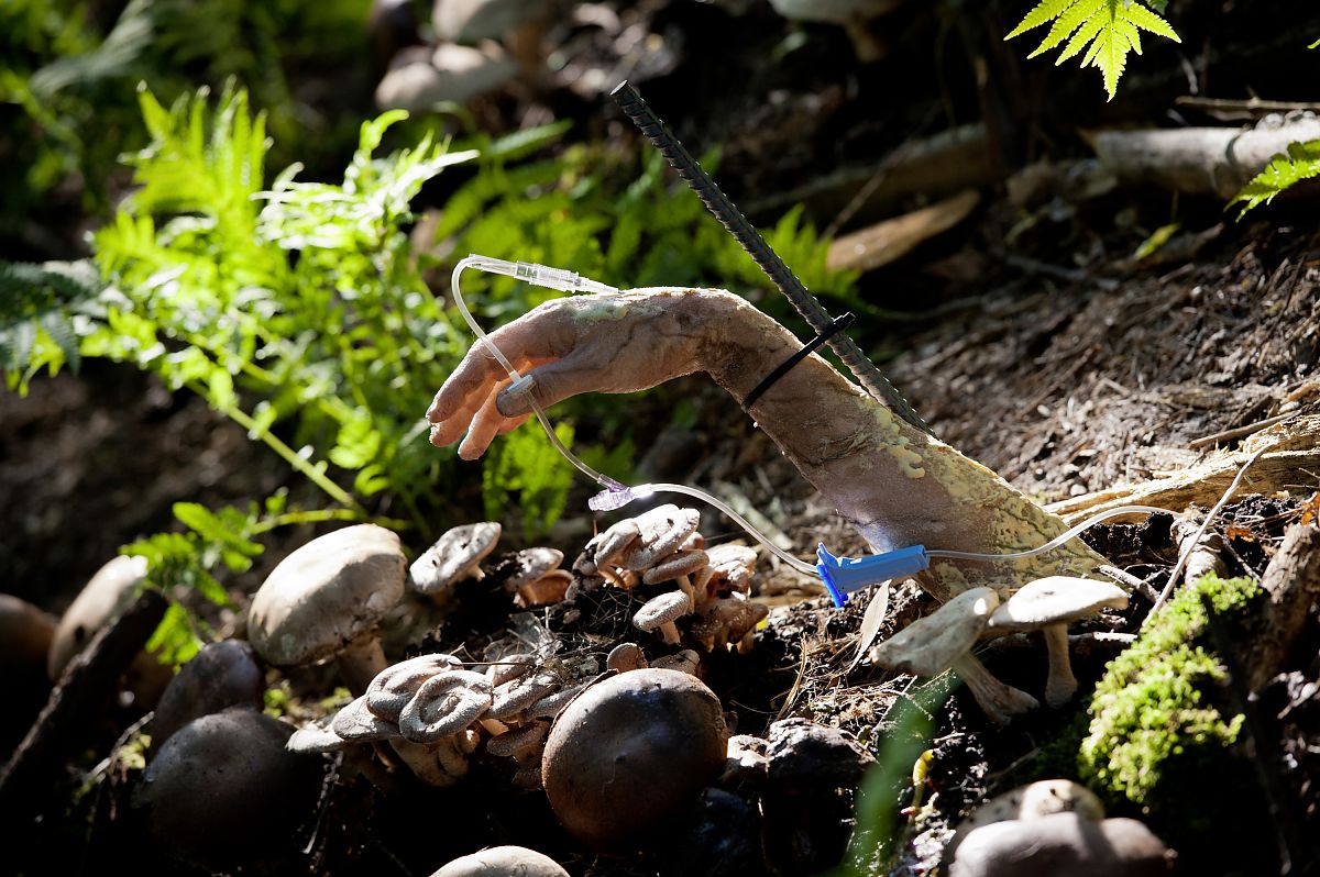 Hannibal / 1. Staffel / Uncut - Film-Still