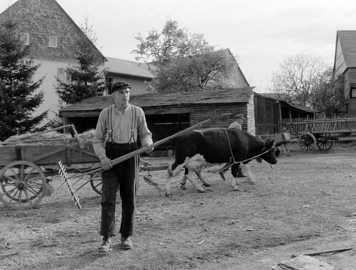Heimat - Eine deutsche Chronik  Kinofassung - Film-Still