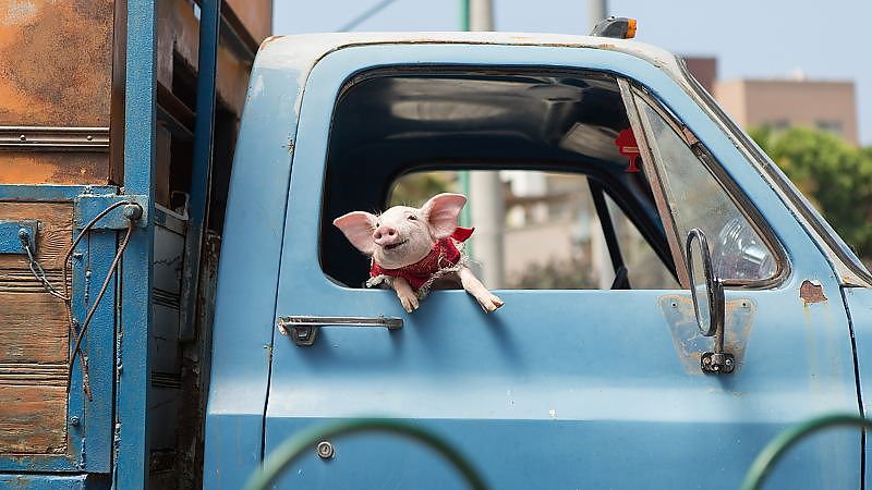 Die Wurzeln des Glücks - Film-Still