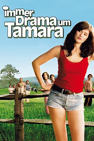 Cover zu Immer Drama um Tamara