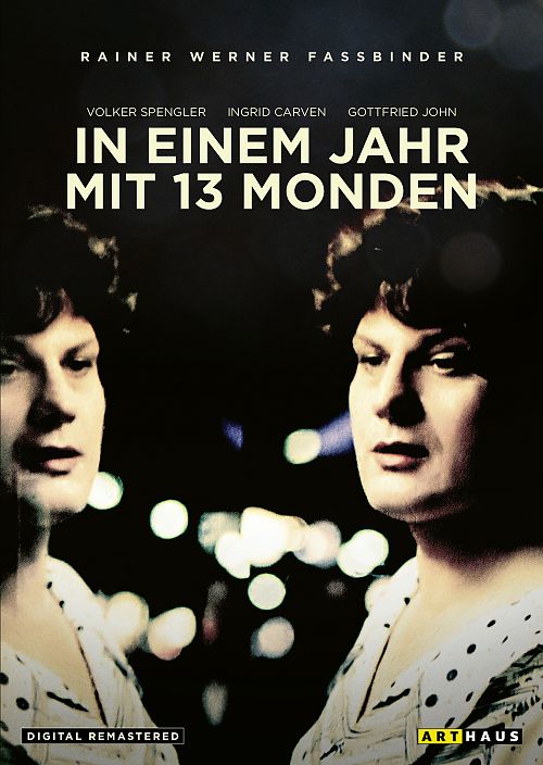Cover zu In einem Jahr mit 13 Monden