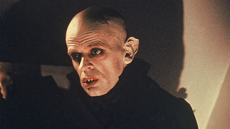 Klaus Kinski & Werner Herzog Edition - Film-Still