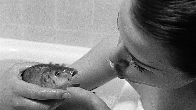 Mahlzeiten - Film-Still