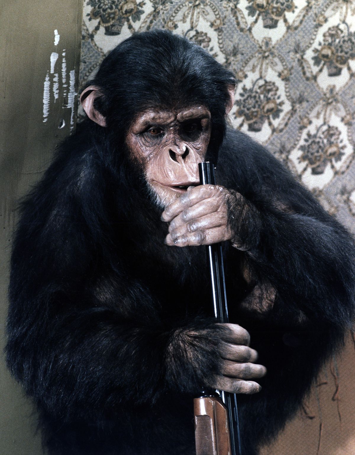 Max Mon Amour - Film-Still