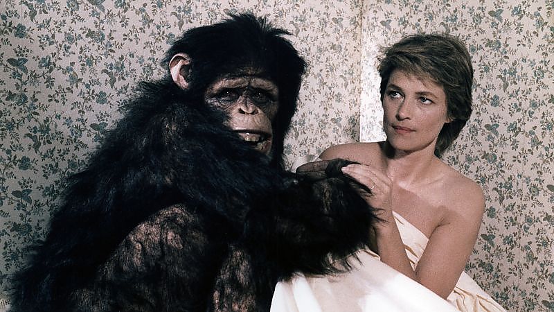 Bild zu Max Mon Amour