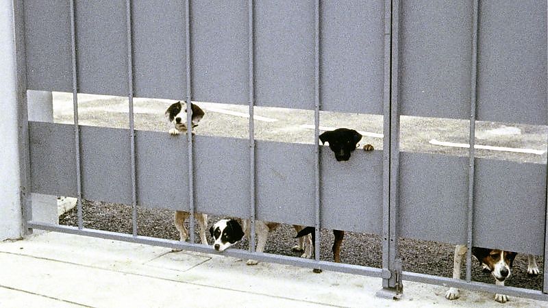 Mein Onkel - Film-Still