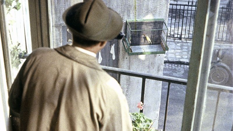 Mein Onkel - Film-Still