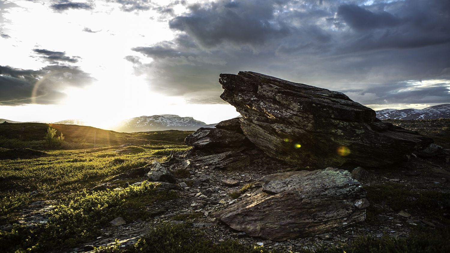 Bild zu Midnight Sun / 1. Staffel