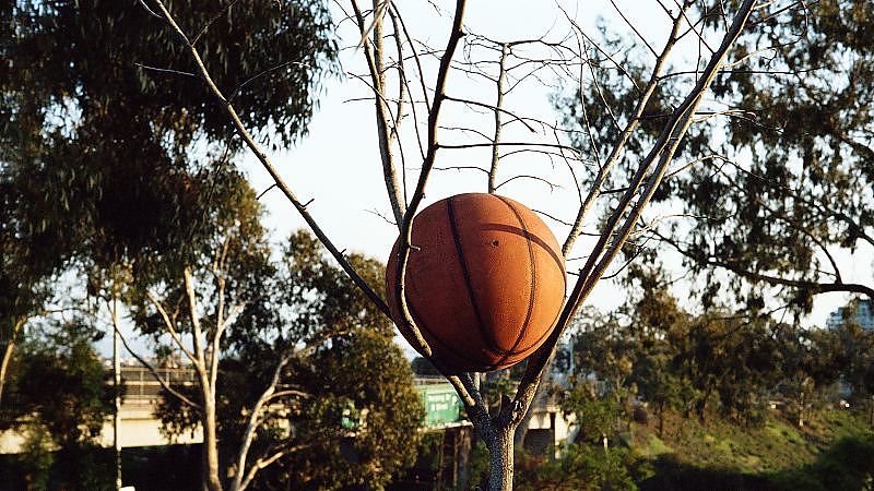 My Son, My Son, What Have Ye Done - Film-Still