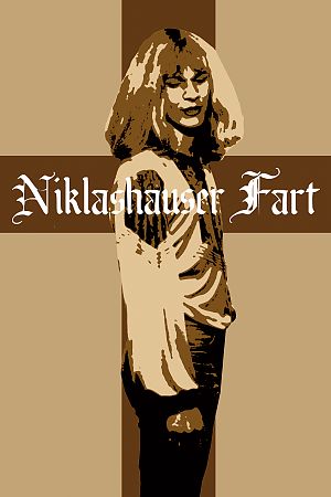 Cover Niklashauser Fart
