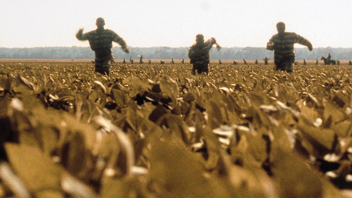 O Brother, Where Art Thou? - Eine Mississippi-Odyssee - Film-Still