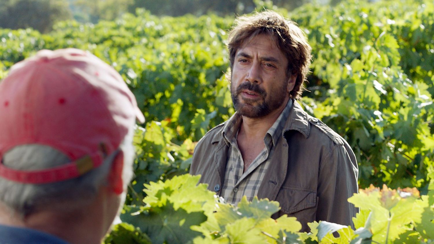 Bild zu Offenes Geheimnis