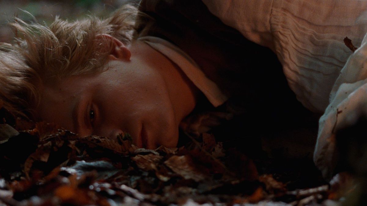 Pakt der Wölfe - Directors Cut - Film-Still