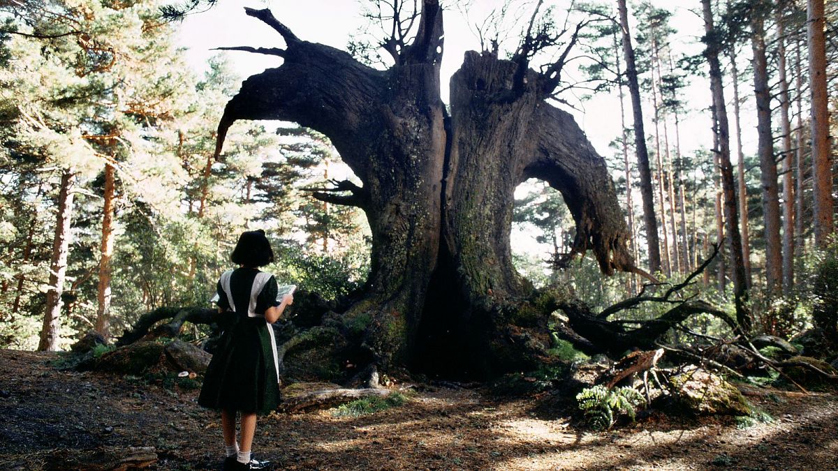 Pans Labyrinth - Film-Still
