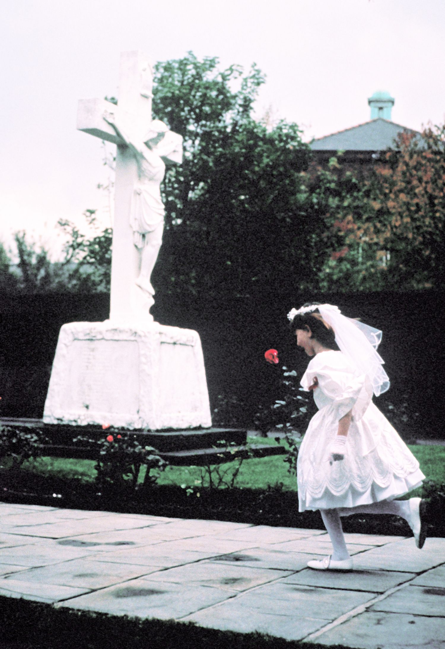 Bild zu Raining Stones