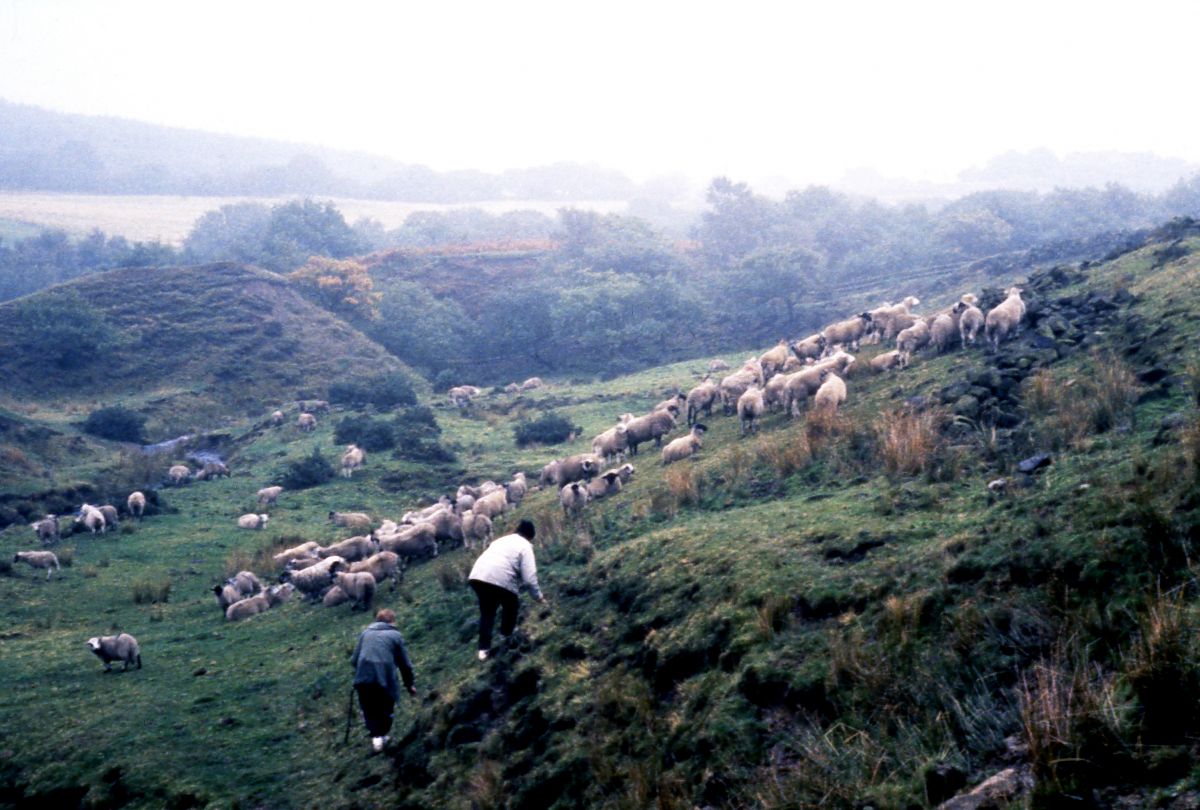 Raining Stones - Film-Still