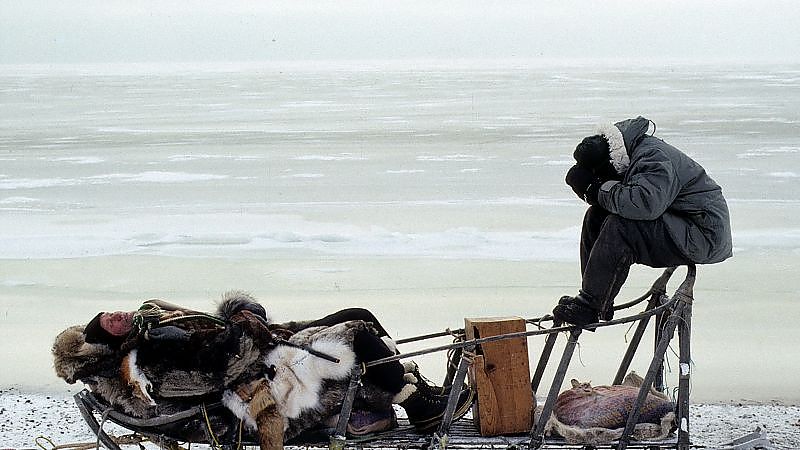 Salmonberries - Film-Still
